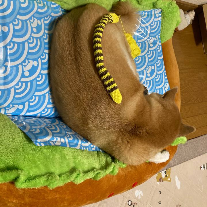 1bcdcd6c 2cca 4df8 b0af 96e9cf3f41d4 1623831142303