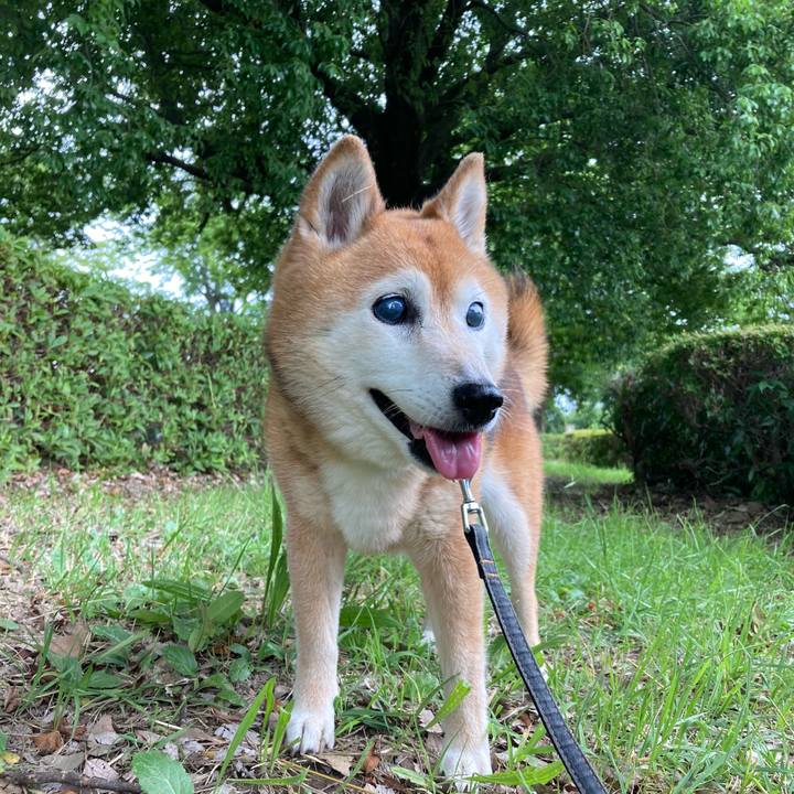 1bcdeaf7 f3b7 4d06 931b 54047592b47a 1750378022897