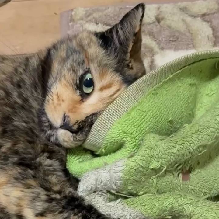 1bce3532 85a6 43ef a4c0 1825894a2177 1745007420924