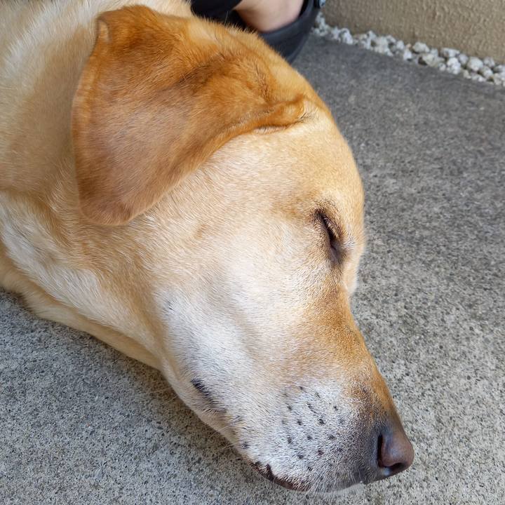 1bce4532 01d2 4e17 bdbd d2858513ece3 1602567841731