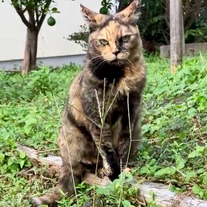 1bce674b 0b8a 4fc2 bcc2 651dd1a73224 1730090701205