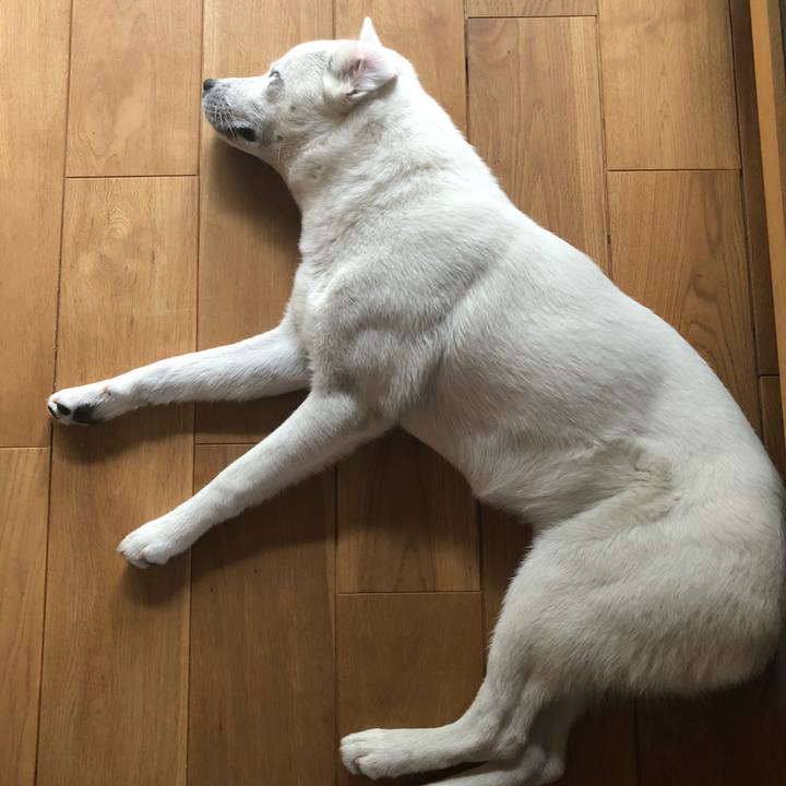 1bce9220 9a2d 400e aa65 f0d5a6dbfd8f 1523670409546