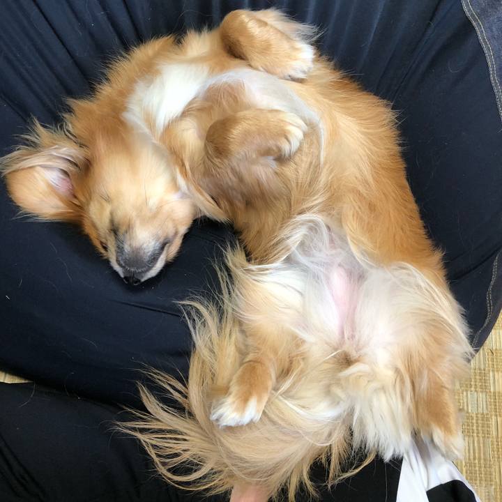 1bceaf6e 0f56 41a0 8777 77ead6942ae7 1526787243056