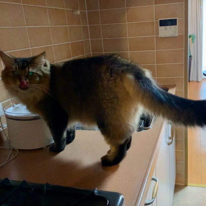 1bceb677 3168 4cee 815c d85c68f8a3a8 1757371531236