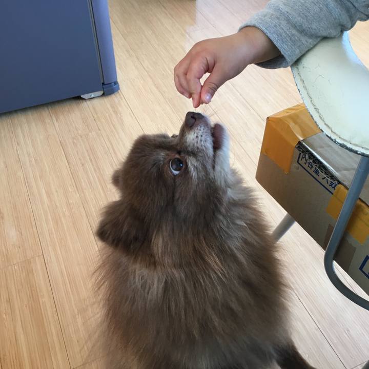 1bcedf97 687c 4dec 968a d2cae6cdca90 1522564638720