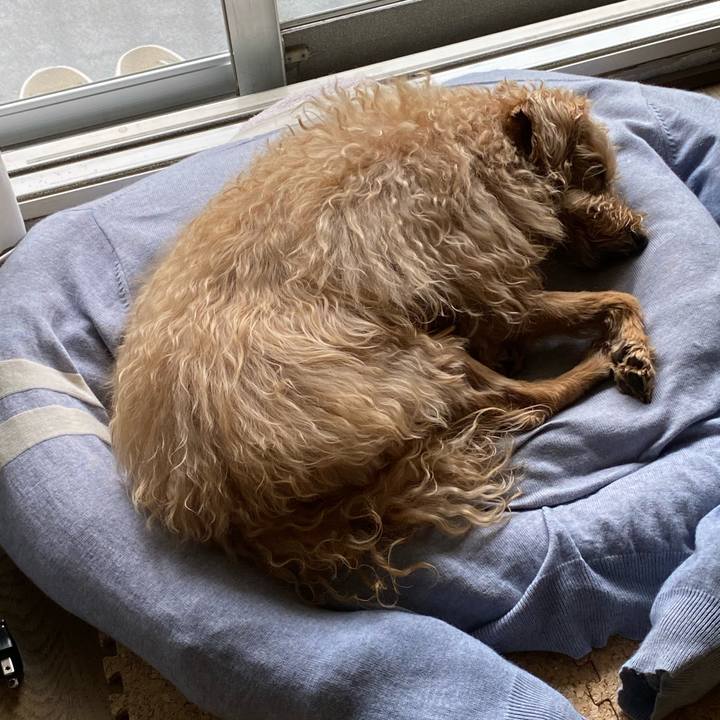 1bcf1e8f 0635 429f a690 d1876748e30f 1655421630786