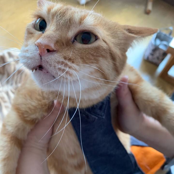 1bcf729a 1df0 4894 8044 cc4aefd2d909 1584679121916