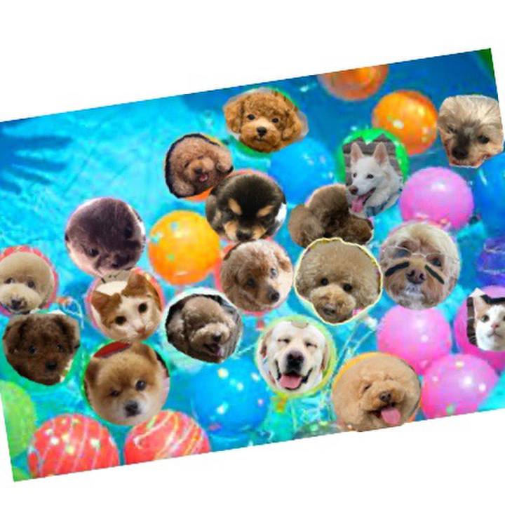 1bcf8d85 6d15 49a8 bc04 40556f97b4c4 1597271965206