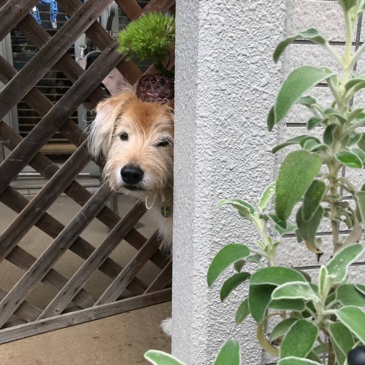 1bcfc1ce 57ce 41ff 8b3b 47d57d3613ab 1591057150382