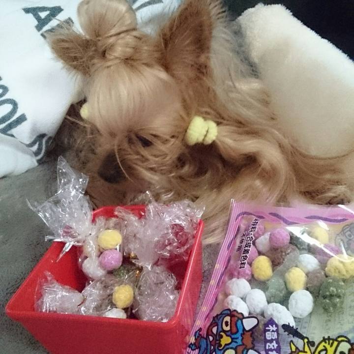 1bd03d24 aa0c 4a34 808f 16eafd50b25a 1517647005586