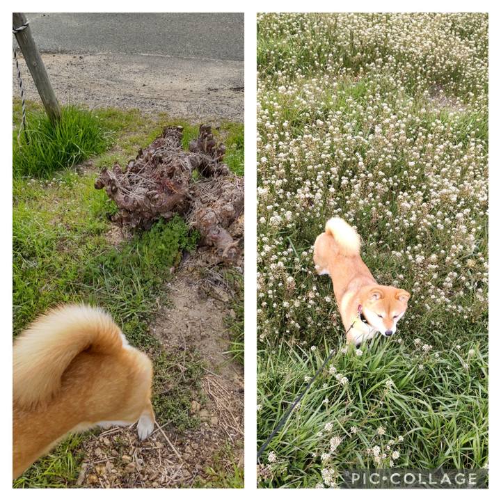 1bd05afc d34d 4e6e 99dc df7f2fdff23f 1710140878034