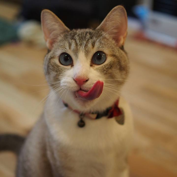 1bd07fb1 a7c1 42b9 b0ca 975c16301fcc 1587990741175