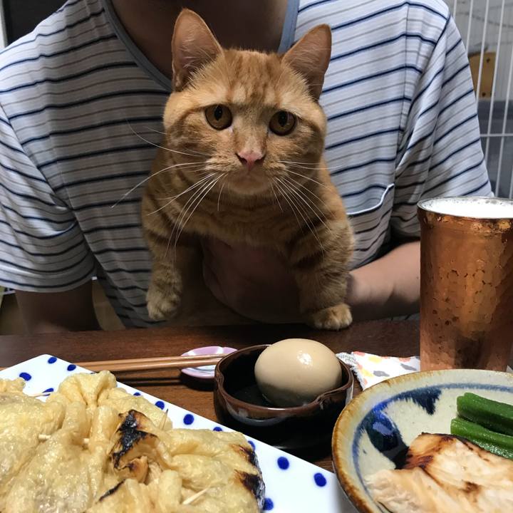 1bd08944 5b4f 41fb b723 1175e86fa46a 1530788676949