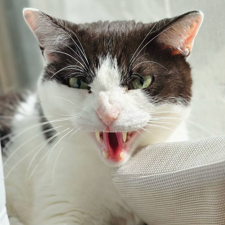 1bd0b0f5 547e 4846 9ff4 c779f4fd245b 1681350796550