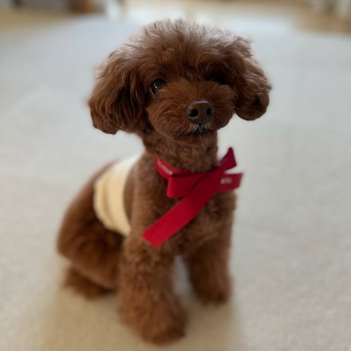 1bd0b600 6abd 47dc 8d01 bce42859f9b5 1638155841051