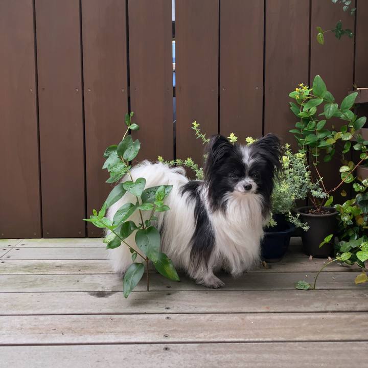 1bd0b9af ed12 4fff b38a b6604d6e5e83 1589069095844