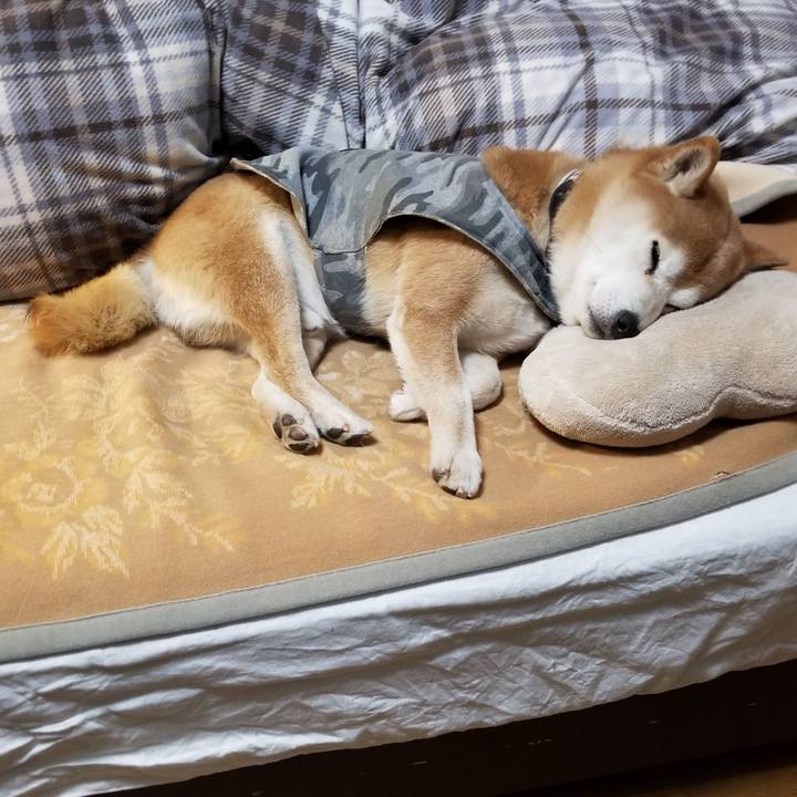 1bd0bd1e 8829 437e 873c f8ca7d5d5ad6 1614767996269