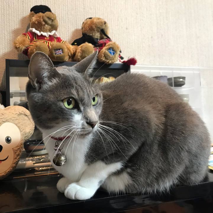 1bd0d5fa c011 459a b7c2 1ad8c55fb4e9 1550012400549