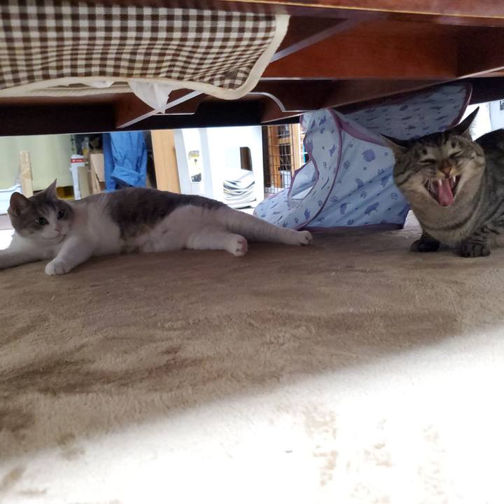 1bd0e236 d1de 436b 9d5b a18674c9bbce 1716067906309