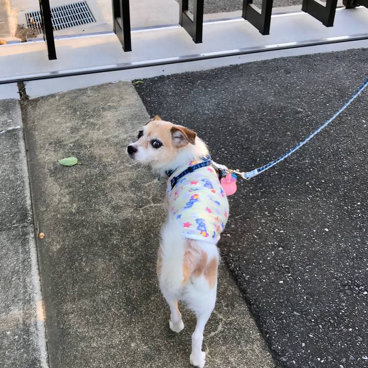 1bd0f76b d3ac 4491 b40a 1786d28bb0ab 1659131423707