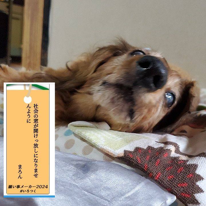 1bd11bcf e2b7 43ac 9f00 b26737db7bb8 1720336943903