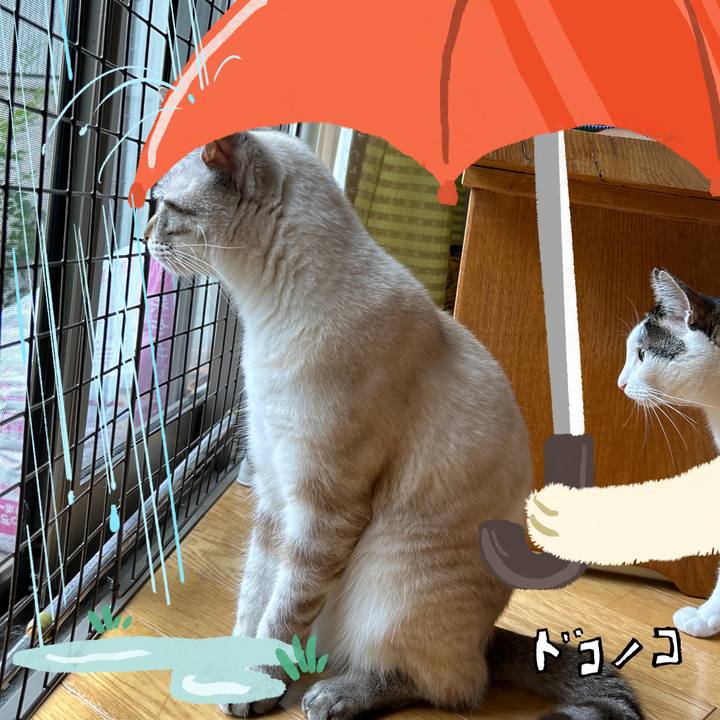 1bd12dbb ab74 4a39 a437 c6e44ab9f77e 1749423591819