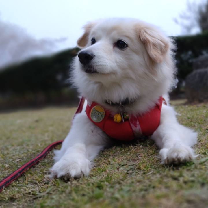 1bd13466 65cf 49ca 85b4 cae3ad0d9bb3 1648873458025