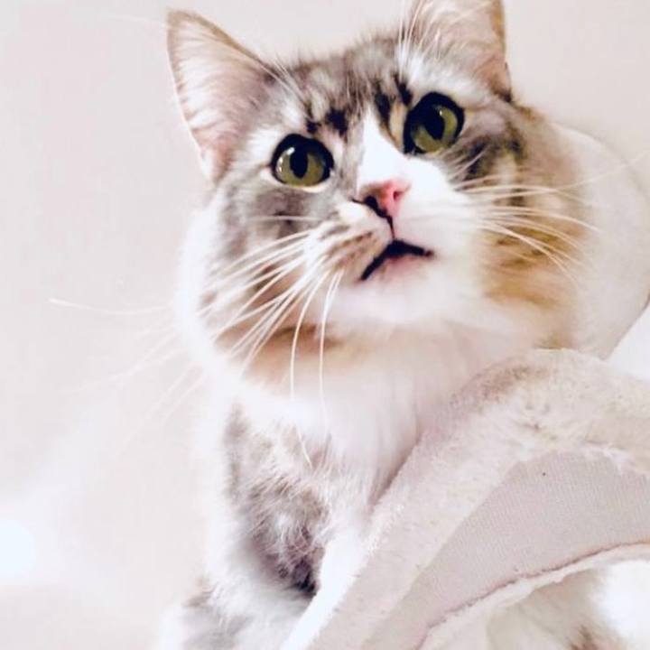 1bd14cd6 da0a 48da bdf9 37c95f9930e0 1754580030313