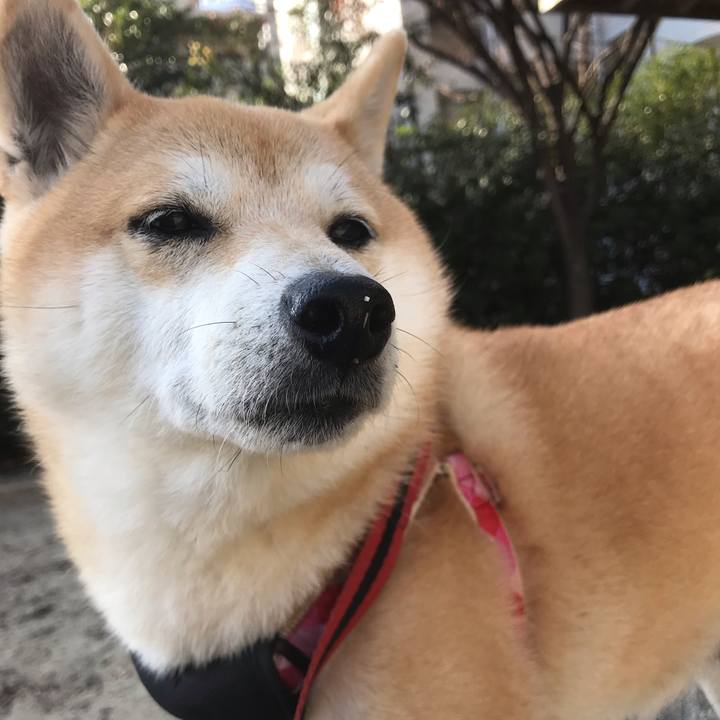 1bd1a6c5 2873 4d1a 88b8 f09cb848d5a7 1545305420020