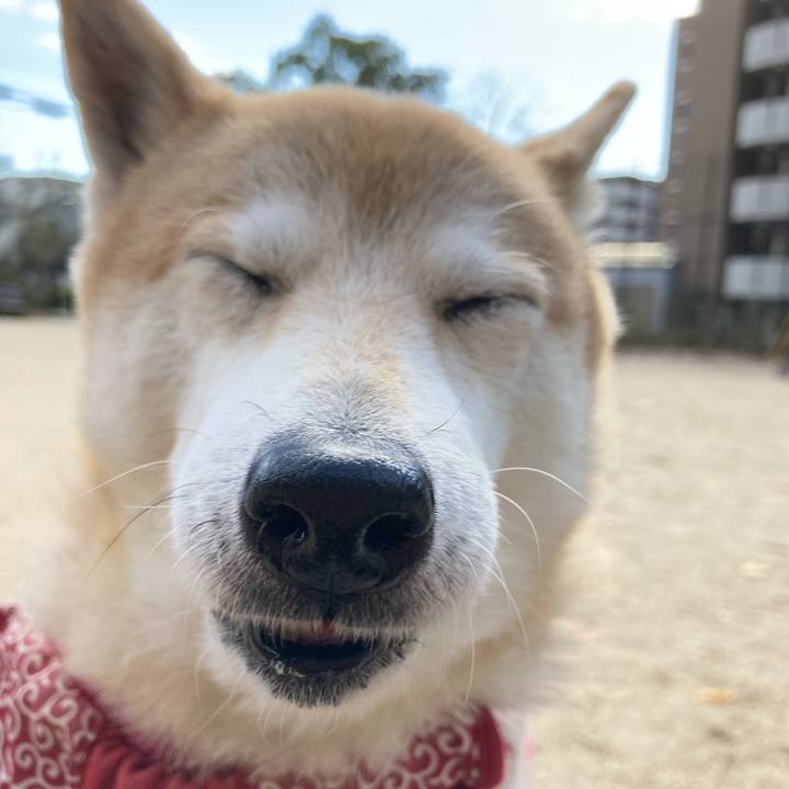 1bd1c7f6 53e8 490b b212 f08cf9d5ef3b 1640353143454