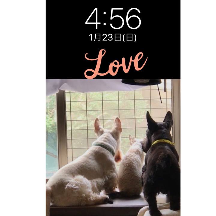 1bd1fbda eec0 4cd8 ad92 093469ada527 1642882178380