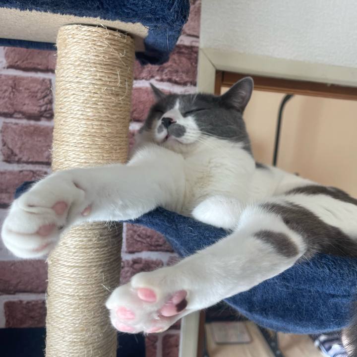 1bd241b0 1cea 461e ad3b 4e01529f6951 1672107154983