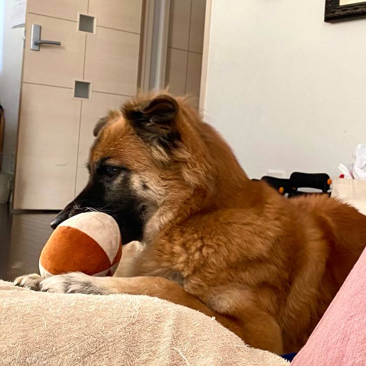 1bd24a7c ac24 4972 a61b 8ba80979beab 1762590786925