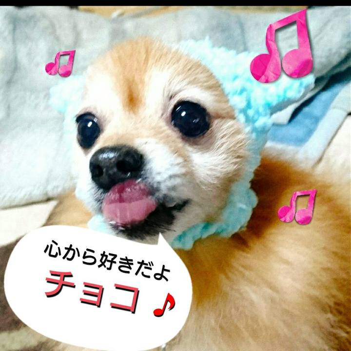 1bd25089 8ea0 4256 9132 244157830b70 1562484288048