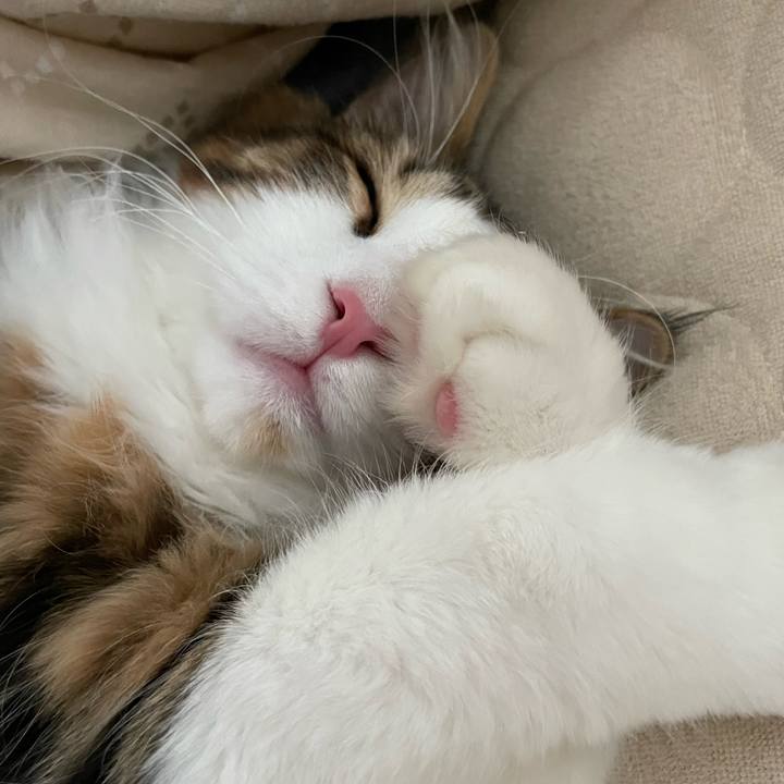 1bd27af4 57dd 4b7a 80bb 27d6b06af39d 1641101930154