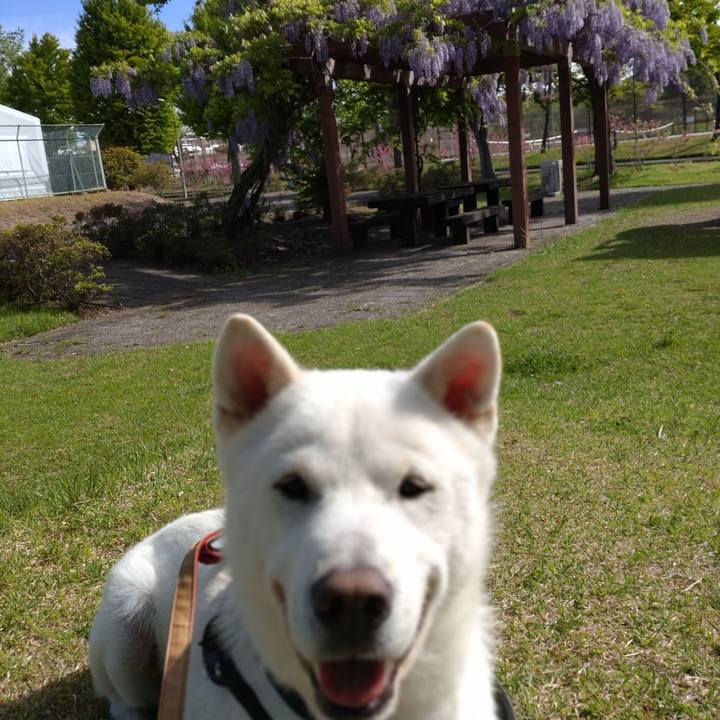 1bd2c488 305b 4a8d abb9 3161f5d94eeb 1652098384890