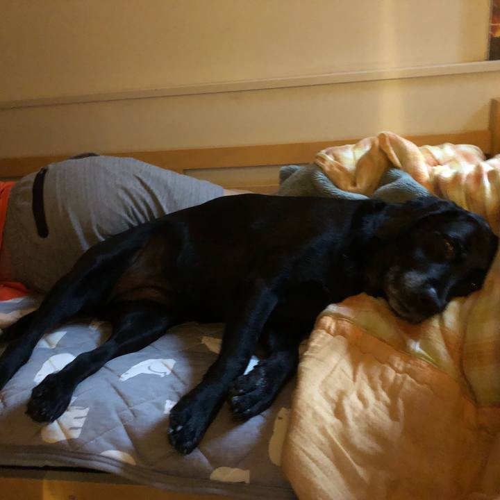 1bd2ca2b 9a44 4dfc b3a8 6a382860d9f4 1536286021339