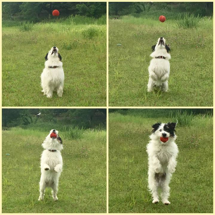 1bd2e0f0 ee3b 4da7 a927 9fc33172d136 1527546217155