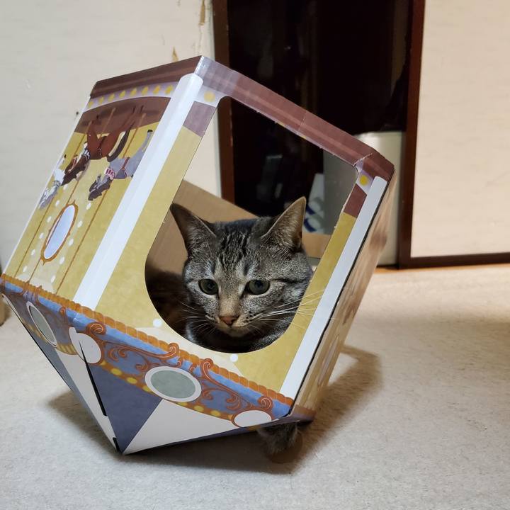 1bd2e2f6 2a5b 4fb3 825b c87dc7607c8e 1703124228506