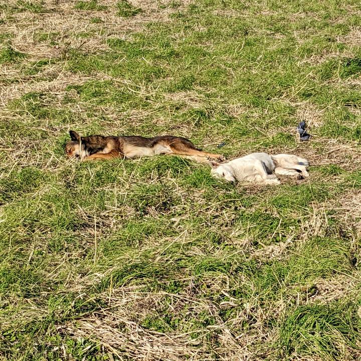 1bd30b67 6889 447c a3a3 7bb8643065eb 1767784818984