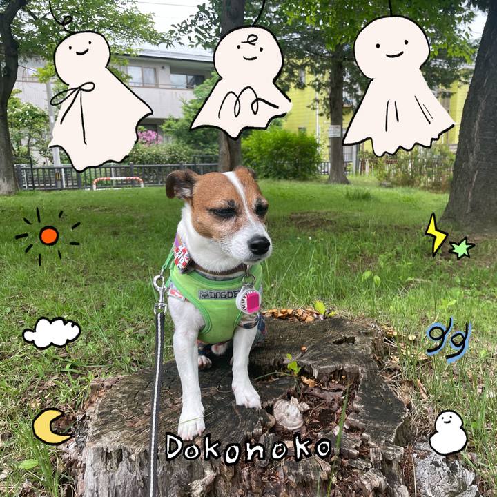 1bd31778 ff53 45a0 8c04 f0c41b590a03 1749528651663