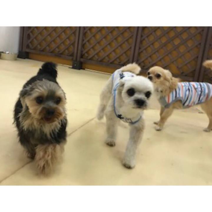 1bd34361 9a91 4e72 a790 eae6c3c969d6 1560250157665