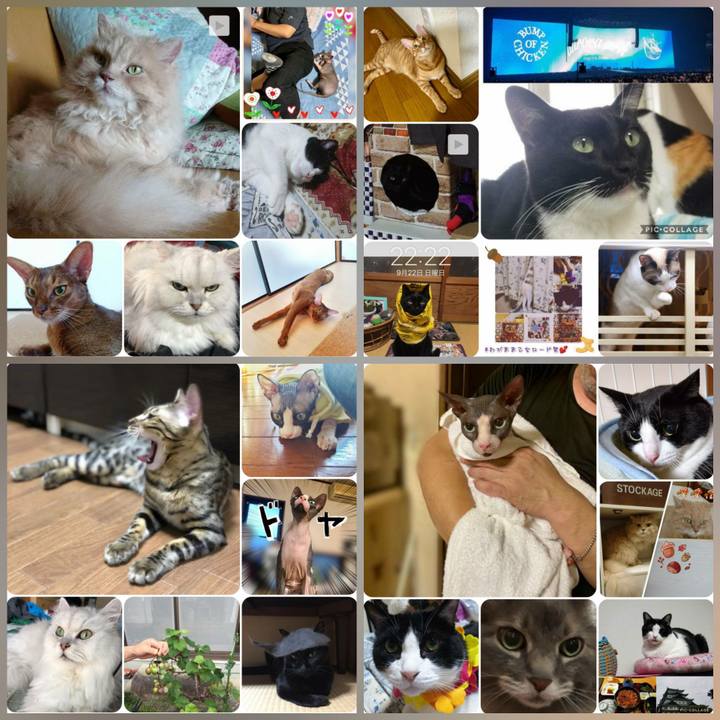 1bd3c81f d57d 45db 9403 cd1dd902a456 1569230715482