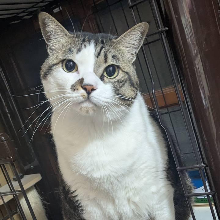 1bd3e246 f447 4a62 8095 3ef20078ba8f 1770510692652