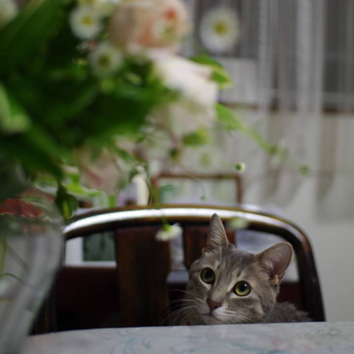 1bd45b7d 34ba 4947 b22c a8d209574dc7 1557449502206