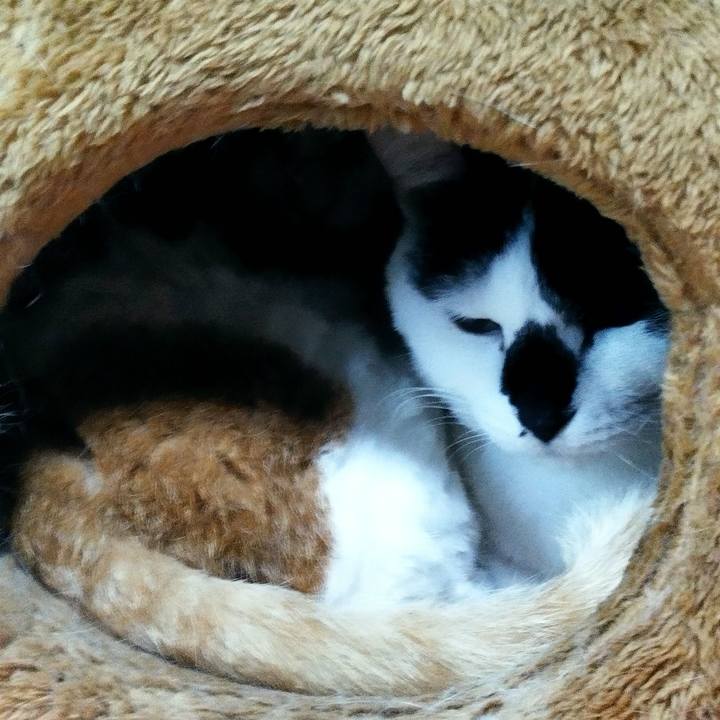 1bd477c4 7f51 4a2b b15b 026e84fe6cc3 1684884764910