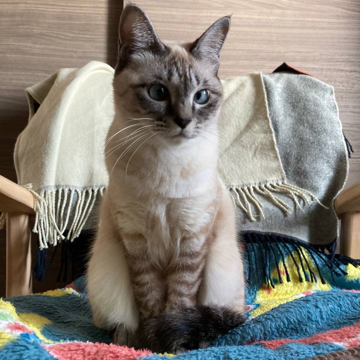 1bd4a307 ef3a 41c6 b4ec b25f8403ddec 1639177973781