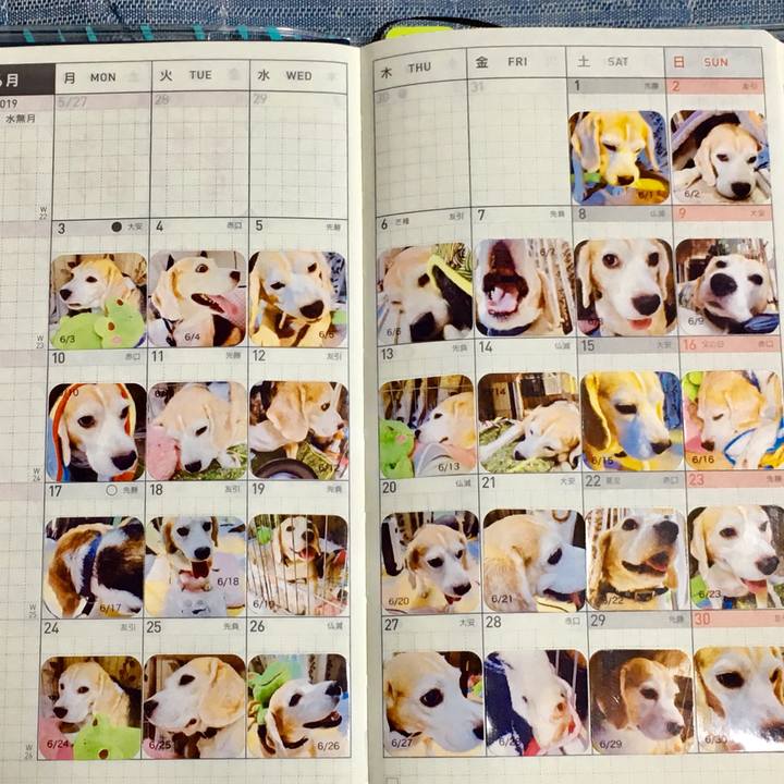 1bd4a78b 27fa 4b63 96cf 059015589f7a 1563061330592