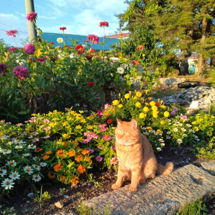 1bd4b22b 4560 44cc 8c1c 0caa1f38a9d3 1691360196585