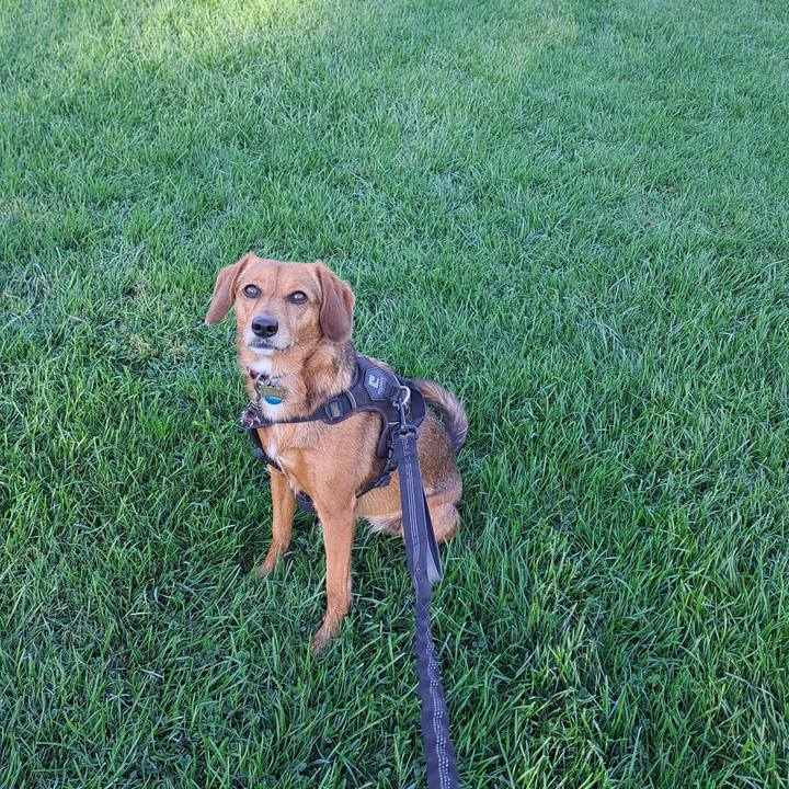 1bd4ddc1 86b8 43fb b395 392c2fd0cd73 1759239633820